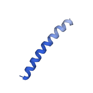 6123_3j89_F_v1-3
Structural Plasticity of Helical Nanotubes Based on Coiled-Coil Assemblies