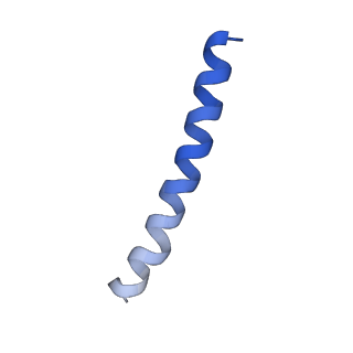 6123_3j89_L_v1-3
Structural Plasticity of Helical Nanotubes Based on Coiled-Coil Assemblies