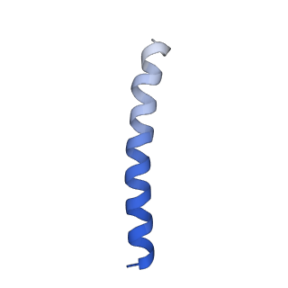 6123_3j89_R_v1-2
Structural Plasticity of Helical Nanotubes Based on Coiled-Coil Assemblies