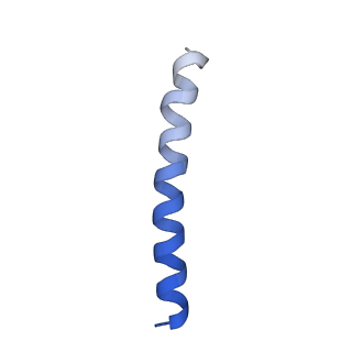 6123_3j89_R_v1-3
Structural Plasticity of Helical Nanotubes Based on Coiled-Coil Assemblies