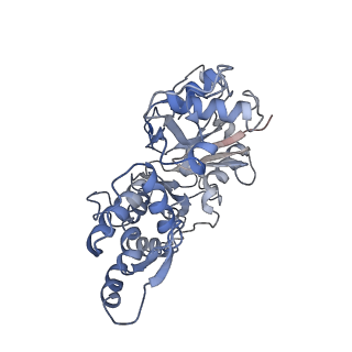 6124_3j8a_A_v1-3
Structure of the F-actin-tropomyosin complex