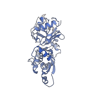 6124_3j8a_B_v1-3
Structure of the F-actin-tropomyosin complex