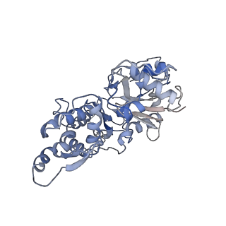 6124_3j8a_C_v1-3
Structure of the F-actin-tropomyosin complex