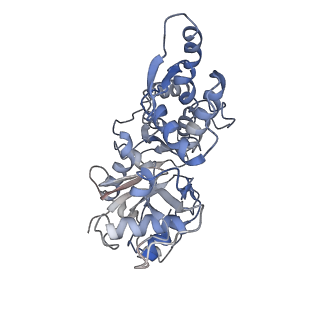 6124_3j8a_D_v1-3
Structure of the F-actin-tropomyosin complex