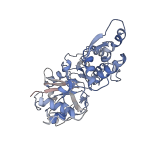 6124_3j8a_E_v1-3
Structure of the F-actin-tropomyosin complex