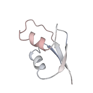 6149_3j8g_2_v1-2
Electron cryo-microscopy structure of EngA bound with the 50S ribosomal subunit