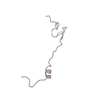 6149_3j8g_3_v1-2
Electron cryo-microscopy structure of EngA bound with the 50S ribosomal subunit