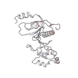 6149_3j8g_5_v1-1
Electron cryo-microscopy structure of EngA bound with the 50S ribosomal subunit