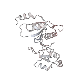 6149_3j8g_5_v1-2
Electron cryo-microscopy structure of EngA bound with the 50S ribosomal subunit