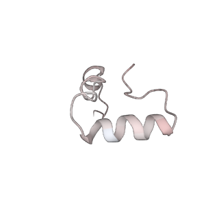 6149_3j8g_6_v1-2
Electron cryo-microscopy structure of EngA bound with the 50S ribosomal subunit