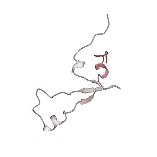 6149_3j8g_7_v1-2
Electron cryo-microscopy structure of EngA bound with the 50S ribosomal subunit