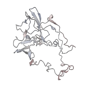 6149_3j8g_C_v1-2
Electron cryo-microscopy structure of EngA bound with the 50S ribosomal subunit