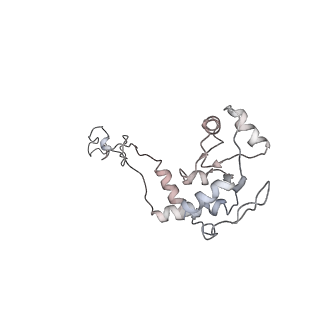 6149_3j8g_E_v1-2
Electron cryo-microscopy structure of EngA bound with the 50S ribosomal subunit