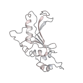 6149_3j8g_F_v1-1
Electron cryo-microscopy structure of EngA bound with the 50S ribosomal subunit