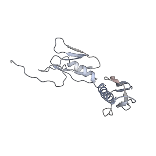 6149_3j8g_G_v1-2
Electron cryo-microscopy structure of EngA bound with the 50S ribosomal subunit