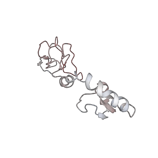 6149_3j8g_H_v1-2
Electron cryo-microscopy structure of EngA bound with the 50S ribosomal subunit