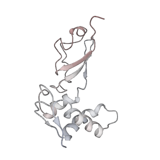 6149_3j8g_I_v1-2
Electron cryo-microscopy structure of EngA bound with the 50S ribosomal subunit