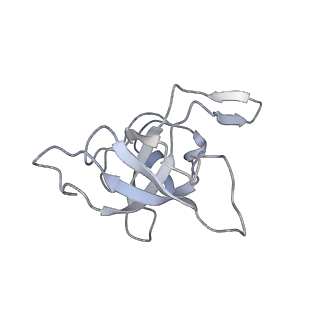 6149_3j8g_K_v1-2
Electron cryo-microscopy structure of EngA bound with the 50S ribosomal subunit