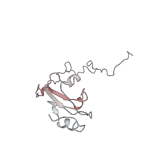 6149_3j8g_L_v1-1
Electron cryo-microscopy structure of EngA bound with the 50S ribosomal subunit