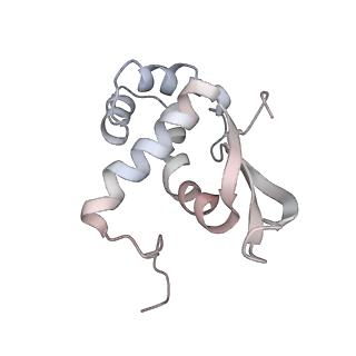 6149_3j8g_N_v1-2
Electron cryo-microscopy structure of EngA bound with the 50S ribosomal subunit