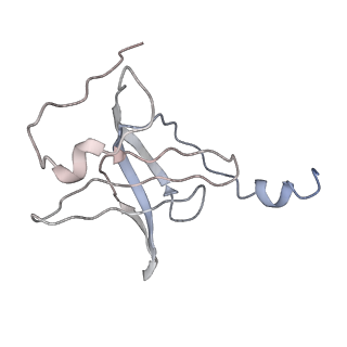 6149_3j8g_P_v1-2
Electron cryo-microscopy structure of EngA bound with the 50S ribosomal subunit