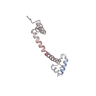 6149_3j8g_Q_v1-1
Electron cryo-microscopy structure of EngA bound with the 50S ribosomal subunit