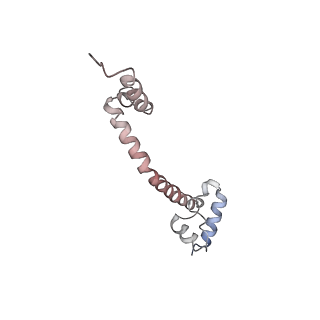 6149_3j8g_Q_v1-2
Electron cryo-microscopy structure of EngA bound with the 50S ribosomal subunit