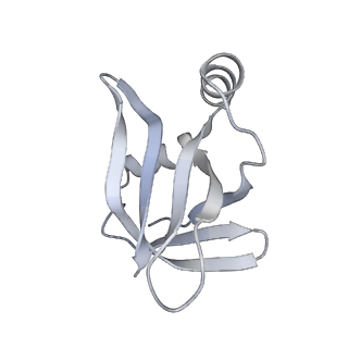 6149_3j8g_W_v1-2
Electron cryo-microscopy structure of EngA bound with the 50S ribosomal subunit