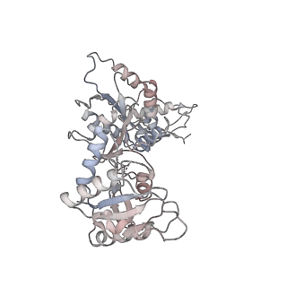 6149_3j8g_X_v1-1
Electron cryo-microscopy structure of EngA bound with the 50S ribosomal subunit