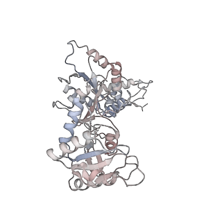 6149_3j8g_X_v1-2
Electron cryo-microscopy structure of EngA bound with the 50S ribosomal subunit