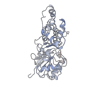 6179_3j8i_D_v1-3
Near-Atomic Resolution for One State of F-Actin