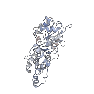 6179_3j8i_E_v1-3
Near-Atomic Resolution for One State of F-Actin