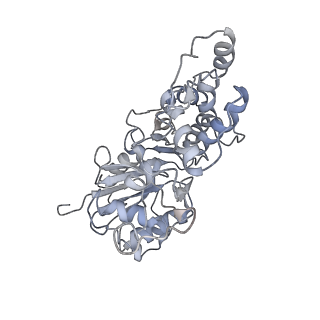 6179_3j8i_F_v1-3
Near-Atomic Resolution for One State of F-Actin