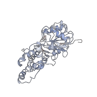 6179_3j8i_G_v1-3
Near-Atomic Resolution for One State of F-Actin