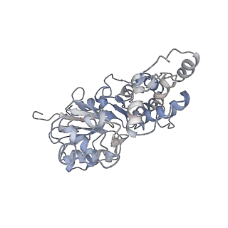 6179_3j8i_H_v1-3
Near-Atomic Resolution for One State of F-Actin