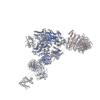 8073_5j8v_A_v1-2
Structure of rabbit ryanodine receptor RyR1 open state activated by calcium ion