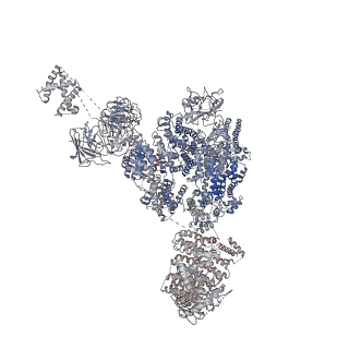8073_5j8v_B_v1-2
Structure of rabbit ryanodine receptor RyR1 open state activated by calcium ion