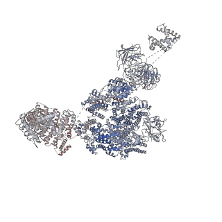 8073_5j8v_C_v1-2
Structure of rabbit ryanodine receptor RyR1 open state activated by calcium ion