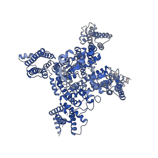 9782_6j8i_A_v1-2
Structure of human voltage-gated sodium channel Nav1.7 in complex with auxiliary beta subunits, ProTx-II and tetrodotoxin (Y1755 up)