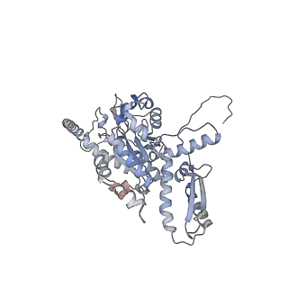2699_3j9g_2_v1-1
Atomic model of the VipA/VipB, the type six secretion system contractile sheath of Vibrio cholerae from cryo-EM