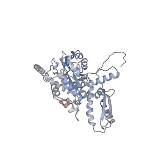 2699_3j9g_2_v1-2
Atomic model of the VipA/VipB, the type six secretion system contractile sheath of Vibrio cholerae from cryo-EM