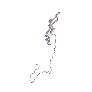 2699_3j9g_3_v1-1
Atomic model of the VipA/VipB, the type six secretion system contractile sheath of Vibrio cholerae from cryo-EM