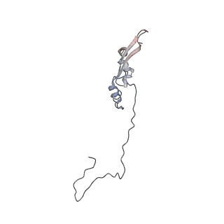 2699_3j9g_3_v1-2
Atomic model of the VipA/VipB, the type six secretion system contractile sheath of Vibrio cholerae from cryo-EM