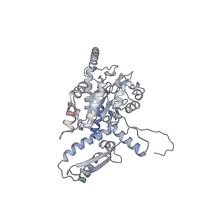 2699_3j9g_4_v1-1
Atomic model of the VipA/VipB, the type six secretion system contractile sheath of Vibrio cholerae from cryo-EM