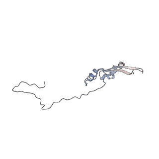 2699_3j9g_5_v1-1
Atomic model of the VipA/VipB, the type six secretion system contractile sheath of Vibrio cholerae from cryo-EM
