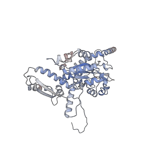 2699_3j9g_6_v1-1
Atomic model of the VipA/VipB, the type six secretion system contractile sheath of Vibrio cholerae from cryo-EM
