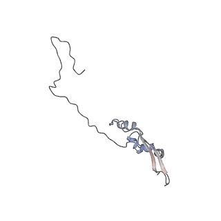 2699_3j9g_7_v1-1
Atomic model of the VipA/VipB, the type six secretion system contractile sheath of Vibrio cholerae from cryo-EM