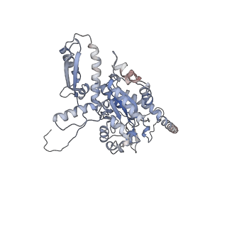 2699_3j9g_8_v1-1
Atomic model of the VipA/VipB, the type six secretion system contractile sheath of Vibrio cholerae from cryo-EM