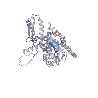 2699_3j9g_8_v1-2
Atomic model of the VipA/VipB, the type six secretion system contractile sheath of Vibrio cholerae from cryo-EM