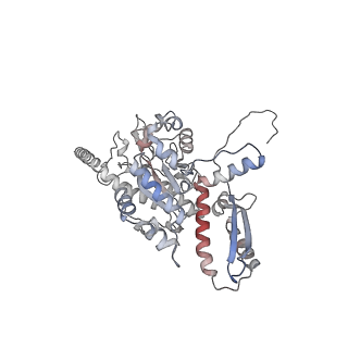 2699_3j9g_B_v1-1
Atomic model of the VipA/VipB, the type six secretion system contractile sheath of Vibrio cholerae from cryo-EM